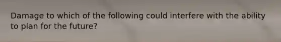 Damage to which of the following could interfere with the ability to plan for the future?