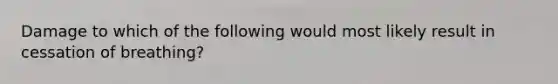 Damage to which of the following would most likely result in cessation of breathing?