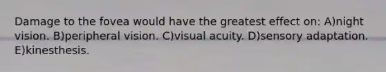Damage to the fovea would have the greatest effect on: A)night vision. B)peripheral vision. C)visual acuity. D)sensory adaptation. E)kinesthesis.