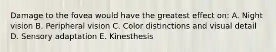 Damage to the fovea would have the greatest effect on: A. Night vision B. Peripheral vision C. Color distinctions and visual detail D. Sensory adaptation E. Kinesthesis