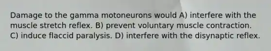 Damage to the gamma motoneurons would A) interfere with the muscle stretch reflex. B) prevent voluntary muscle contraction. C) induce flaccid paralysis. D) interfere with the disynaptic reflex.