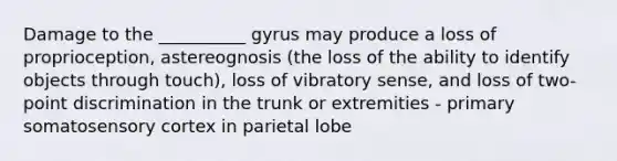 Damage to the __________ gyrus may produce a loss of proprioception, astereognosis (the loss of the ability to identify objects through touch), loss of vibratory sense, and loss of two-point discrimination in the trunk or extremities - primary somatosensory cortex in parietal lobe