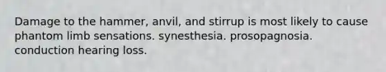 Damage to the hammer, anvil, and stirrup is most likely to cause phantom limb sensations. synesthesia. prosopagnosia. conduction hearing loss.