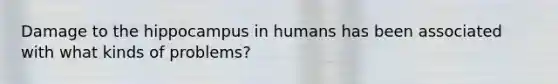 Damage to the hippocampus in humans has been associated with what kinds of problems?