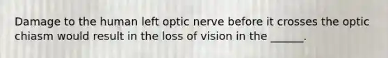 Damage to the human left optic nerve before it crosses the optic chiasm would result in the loss of vision in the ______.