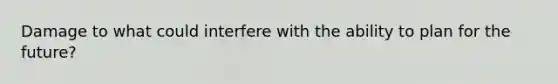 Damage to what could interfere with the ability to plan for the future?