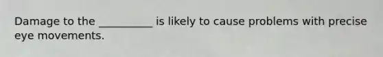 Damage to the __________ is likely to cause problems with precise eye movements.