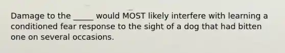 Damage to the _____ would MOST likely interfere with learning a conditioned fear response to the sight of a dog that had bitten one on several occasions.