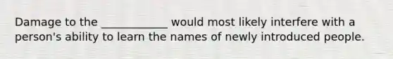 Damage to the ____________ would most likely interfere with a person's ability to learn the names of newly introduced people.