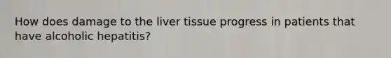 How does damage to the liver tissue progress in patients that have alcoholic hepatitis?