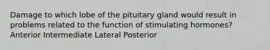 Damage to which lobe of the pituitary gland would result in problems related to the function of stimulating hormones? Anterior Intermediate Lateral Posterior