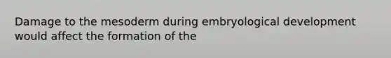 Damage to the mesoderm during embryological development would affect the formation of the