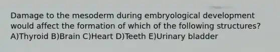 Damage to the mesoderm during embryological development would affect the formation of which of the following structures? A)Thyroid B)Brain C)Heart D)Teeth E)Urinary bladder