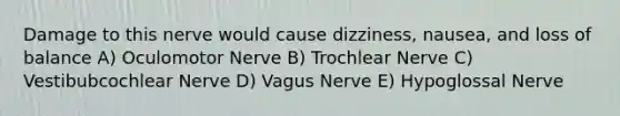 Damage to this nerve would cause dizziness, nausea, and loss of balance A) Oculomotor Nerve B) Trochlear Nerve C) Vestibubcochlear Nerve D) Vagus Nerve E) Hypoglossal Nerve