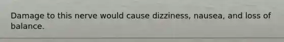 Damage to this nerve would cause dizziness, nausea, and loss of balance.