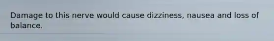 Damage to this nerve would cause dizziness, nausea and loss of balance.