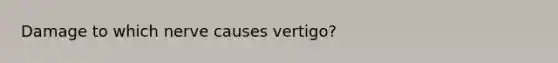 Damage to which nerve causes vertigo?