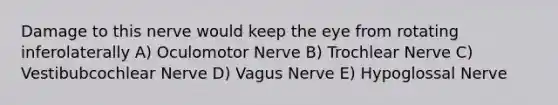 Damage to this nerve would keep the eye from rotating inferolaterally A) Oculomotor Nerve B) Trochlear Nerve C) Vestibubcochlear Nerve D) Vagus Nerve E) Hypoglossal Nerve