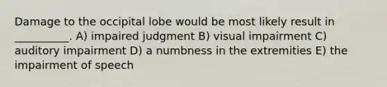 Damage to the occipital lobe would be most likely result in __________. A) impaired judgment B) visual impairment C) auditory impairment D) a numbness in the extremities E) the impairment of speech