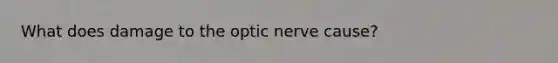 What does damage to the optic nerve cause?