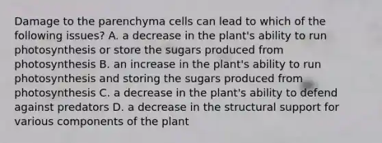 Damage to the parenchyma cells can lead to which of the following issues? A. a decrease in the plant's ability to run photosynthesis or store the sugars produced from photosynthesis B. an increase in the plant's ability to run photosynthesis and storing the sugars produced from photosynthesis C. a decrease in the plant's ability to defend against predators D. a decrease in the structural support for various components of the plant