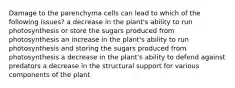 Damage to the parenchyma cells can lead to which of the following issues? a decrease in the plant's ability to run photosynthesis or store the sugars produced from photosynthesis an increase in the plant's ability to run photosynthesis and storing the sugars produced from photosynthesis a decrease in the plant's ability to defend against predators a decrease in the structural support for various components of the plant