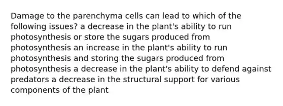 Damage to the parenchyma cells can lead to which of the following issues? a decrease in the plant's ability to run photosynthesis or store the sugars produced from photosynthesis an increase in the plant's ability to run photosynthesis and storing the sugars produced from photosynthesis a decrease in the plant's ability to defend against predators a decrease in the structural support for various components of the plant