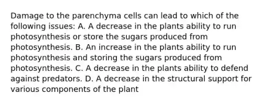 Damage to the parenchyma cells can lead to which of the following issues: A. A decrease in the plants ability to run photosynthesis or store the sugars produced from photosynthesis. B. An increase in the plants ability to run photosynthesis and storing the sugars produced from photosynthesis. C. A decrease in the plants ability to defend against predators. D. A decrease in the structural support for various components of the plant