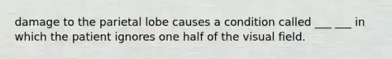 damage to the parietal lobe causes a condition called ___ ___ in which the patient ignores one half of the visual field.