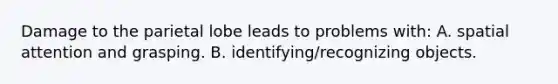 Damage to the parietal lobe leads to problems with: A. spatial attention and grasping. B. identifying/recognizing objects.