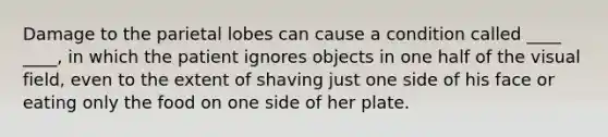 Damage to the parietal lobes can cause a condition called ____ ____, in which the patient ignores objects in one half of the visual field, even to the extent of shaving just one side of his face or eating only the food on one side of her plate.