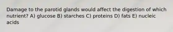 Damage to the parotid glands would affect the digestion of which nutrient? A) glucose B) starches C) proteins D) fats E) nucleic acids