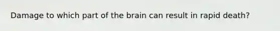 Damage to which part of the brain can result in rapid death?