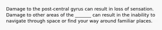 Damage to the post-central gyrus can result in loss of sensation. Damage to other areas of the _______ can result in the inability to navigate through space or find your way around familiar places.