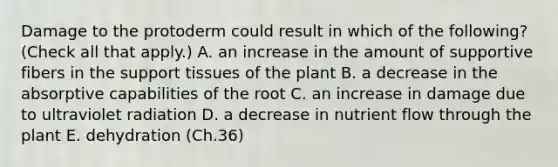 Damage to the protoderm could result in which of the following? (Check all that apply.) A. an increase in the amount of supportive fibers in the support tissues of the plant B. a decrease in the absorptive capabilities of the root C. an increase in damage due to ultraviolet radiation D. a decrease in nutrient flow through the plant E. dehydration (Ch.36)