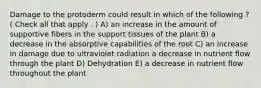 Damage to the protoderm could result in which of the following ? ( Check all that apply . ) A) an increase in the amount of supportive fibers in the support tissues of the plant B) a decrease in the absorptive capabilities of the root C) an increase in damage due to ultraviolet radiation a decrease in nutrient flow through the plant D) Dehydration E) a decrease in nutrient flow throughout the plant