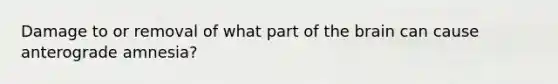Damage to or removal of what part of the brain can cause anterograde amnesia?