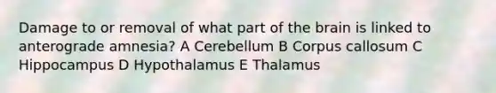 Damage to or removal of what part of the brain is linked to anterograde amnesia? A Cerebellum B Corpus callosum C Hippocampus D Hypothalamus E Thalamus