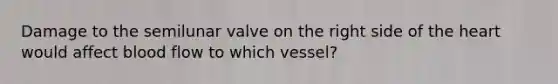 Damage to the semilunar valve on the right side of <a href='https://www.questionai.com/knowledge/kya8ocqc6o-the-heart' class='anchor-knowledge'>the heart</a> would affect blood flow to which vessel?