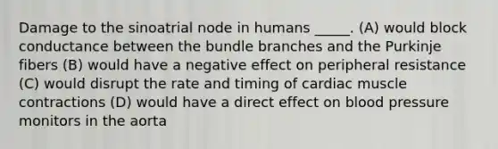 Damage to the sinoatrial node in humans _____. (A) would block conductance between the bundle branches and the Purkinje fibers (B) would have a negative effect on peripheral resistance (C) would disrupt the rate and timing of <a href='https://www.questionai.com/knowledge/kIevX4JuTD-cardiac-muscle-contraction' class='anchor-knowledge'>cardiac muscle contraction</a>s (D) would have a direct effect on blood pressure monitors in the aorta