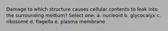 Damage to which structure causes cellular contents to leak into the surrounding medium? Select one: a. nucleoid b. glycocalyx c. ribosome d. flagella e. plasma membrane