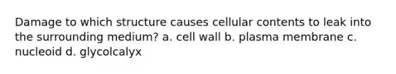 Damage to which structure causes cellular contents to leak into the surrounding medium? a. cell wall b. plasma membrane c. nucleoid d. glycolcalyx