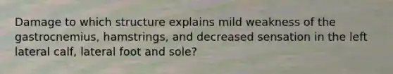 Damage to which structure explains mild weakness of the gastrocnemius, hamstrings, and decreased sensation in the left lateral calf, lateral foot and sole?