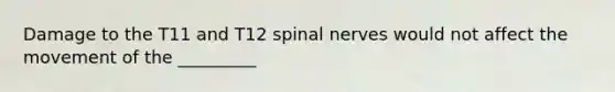 Damage to the T11 and T12 spinal nerves would not affect the movement of the _________