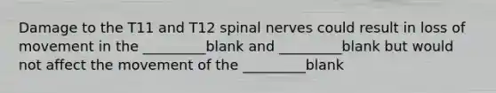 Damage to the T11 and T12 spinal nerves could result in loss of movement in the _________blank and _________blank but would not affect the movement of the _________blank