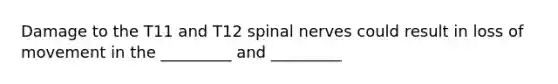 Damage to the T11 and T12 spinal nerves could result in loss of movement in the _________ and _________