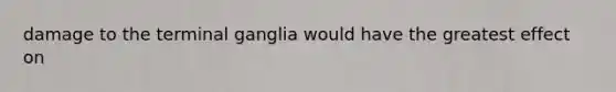 damage to the terminal ganglia would have the greatest effect on