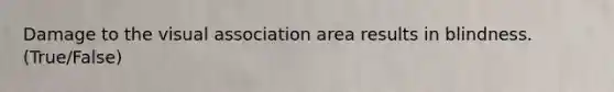 Damage to the visual association area results in blindness. (True/False)