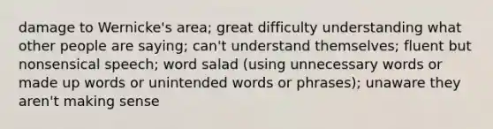 damage to Wernicke's area; great difficulty understanding what other people are saying; can't understand themselves; fluent but nonsensical speech; word salad (using unnecessary words or made up words or unintended words or phrases); unaware they aren't making sense