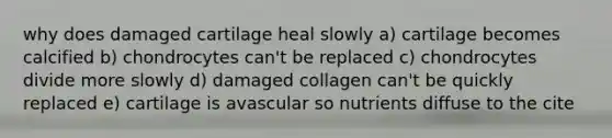 why does damaged cartilage heal slowly a) cartilage becomes calcified b) chondrocytes can't be replaced c) chondrocytes divide more slowly d) damaged collagen can't be quickly replaced e) cartilage is avascular so nutrients diffuse to the cite